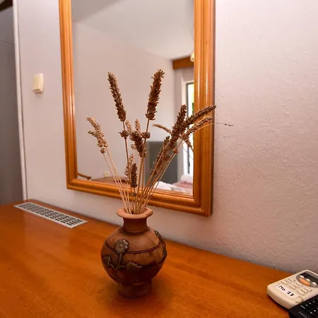 Aristotelis Ставрос